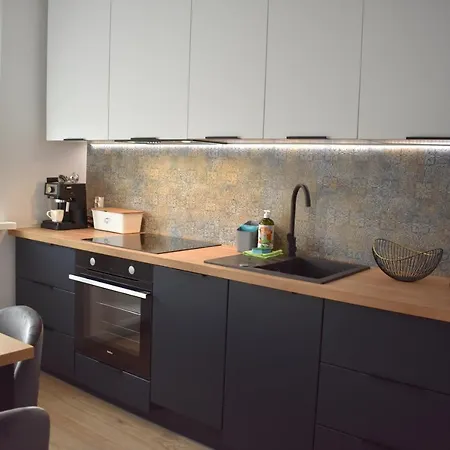 W Centrum Przy Parku Na Wyspie Apartment *
