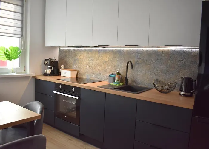 W Centrum Przy Parku Na Wyspie Apartment *